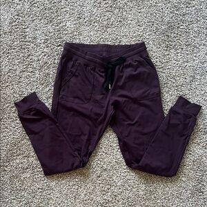 Zyia Actice Purple Jogger Pants